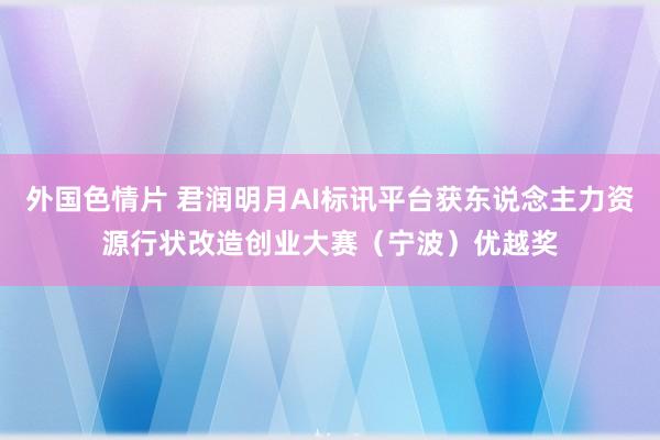 外国色情片 君润明月AI标讯平台获东说念主力资源行状改造创业大赛（宁波）优越奖