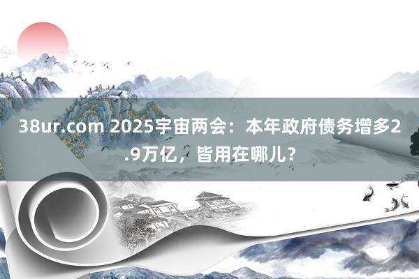 38ur.com 2025宇宙两会：本年政府债务增多2.9万亿，皆用在哪儿？