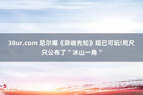 38ur.com 尼尔曝《异端先知》现已可玩!咫尺只公布了"冰山一角"