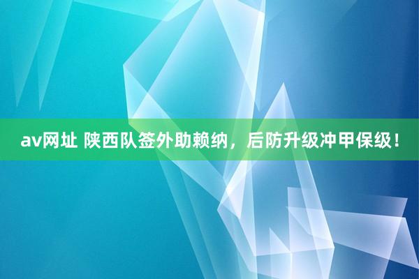 av网址 陕西队签外助赖纳，后防升级冲甲保级！