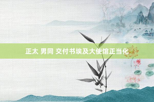 正太 男同 交付书埃及大使馆正当化