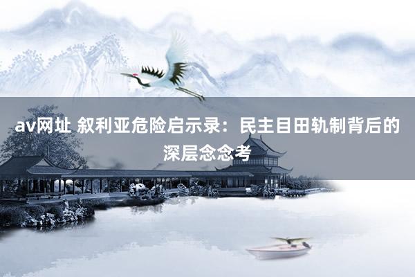 av网址 叙利亚危险启示录：民主目田轨制背后的深层念念考
