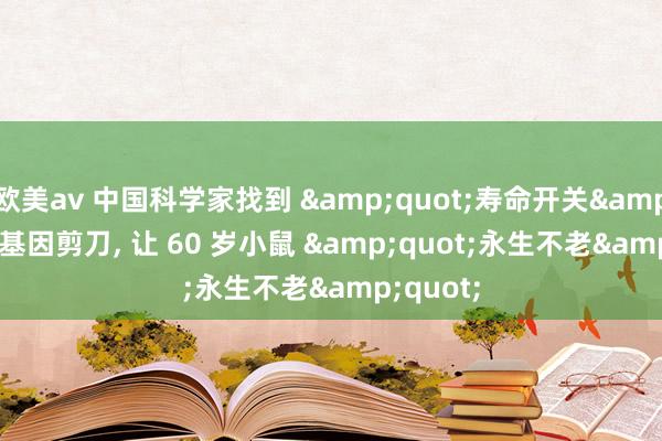 欧美av 中国科学家找到 &quot;寿命开关&quot; 基因剪刀， 让 60 岁小鼠 &quot;永生不老&quot;