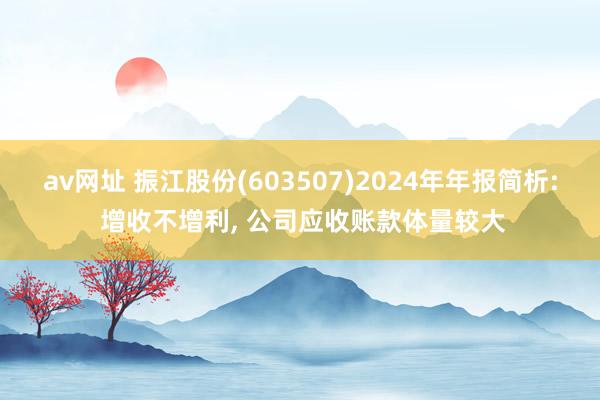 av网址 振江股份(603507)2024年年报简析: 增收不增利， 公司应收账款体量较大