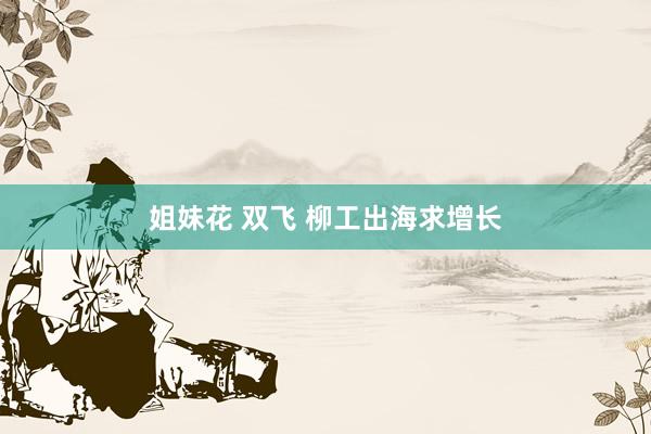 姐妹花 双飞 柳工出海求增长